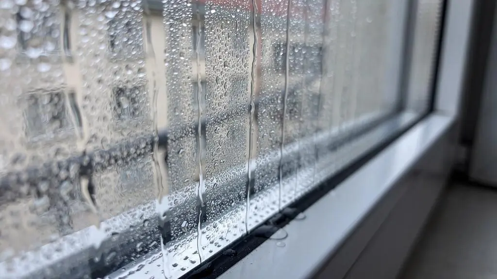Condensation d'eau visible sur une fenêtre double vitrage montrant une perte d'étanchéité